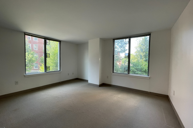 Available room - Spacious modern room in Harvard apartment