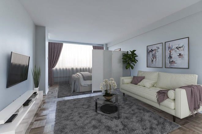 Suite - Skyliner Apartments and more on St George Street!