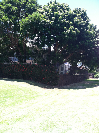 outside veiw - $1,500 / Studio – Private Furnished, Quiet & Cool, 0,4 mile - Walk to UH, Utilities + Wi-Fi Included