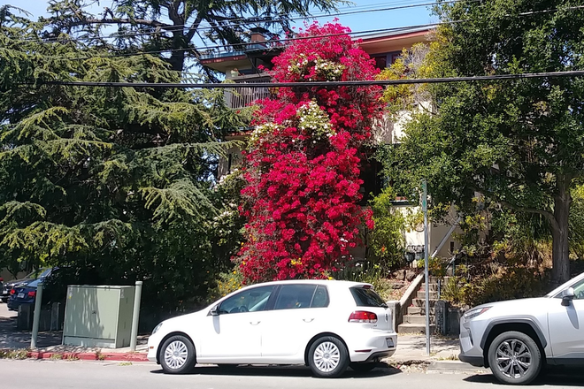 outside street view of building - One-bedroom flat one half mile north of campus