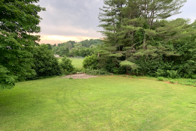 Yard - 266 South Windsor Street Apt. 4