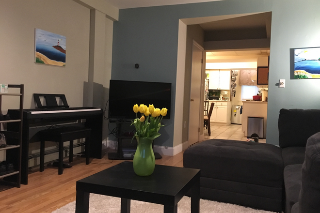 Living Room looking into Kitchen with laundry room on left side closet - $2850 / 2br - 1042ft2 - Large 2BR • W/D • Beacon St • C-Line  • No Fee (Brookli Condo