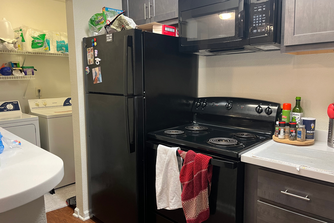 Kitchen - 2025 Spring Sublet Apartments