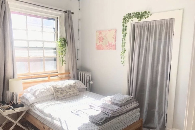 Bedroom - Roommate Needed for 3 Bed 1 Bath Apartment in Jamaica Plain!