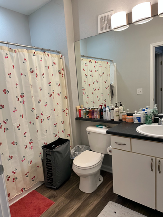Bathroom - Lodge on the trail Apartment for sublease SPRING26