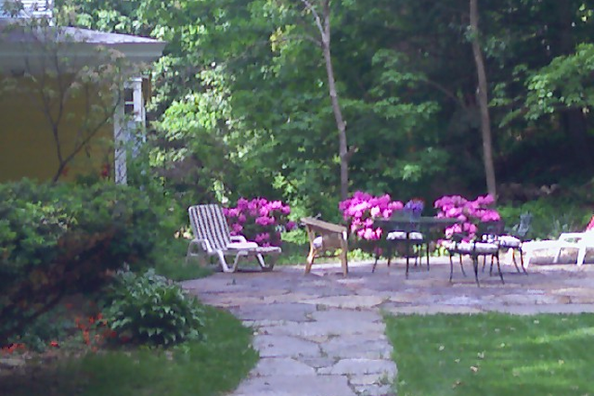 BACKYARD PATIO - Beautiful Dutch Colonial on UMASS CAMPUS! House