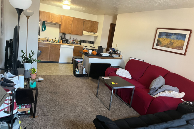 Living Room (door POV) - Private room for rent in a 2B1B apartment, lowest price you'll find for a room this close to