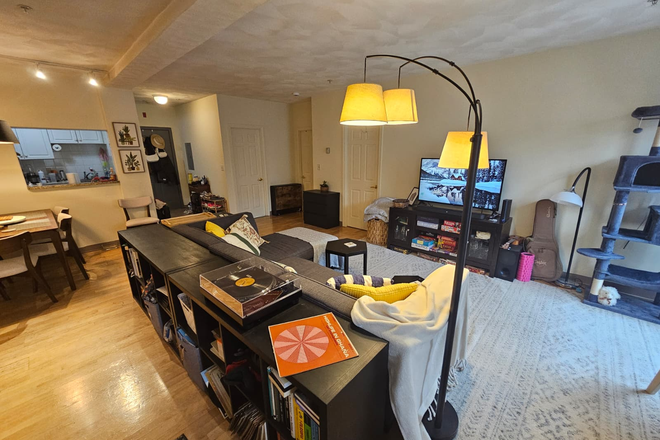 Open concept living/dinning room and office - Large 2BR in Davis Square, Steps to Red Line — Oct 1 Apartments