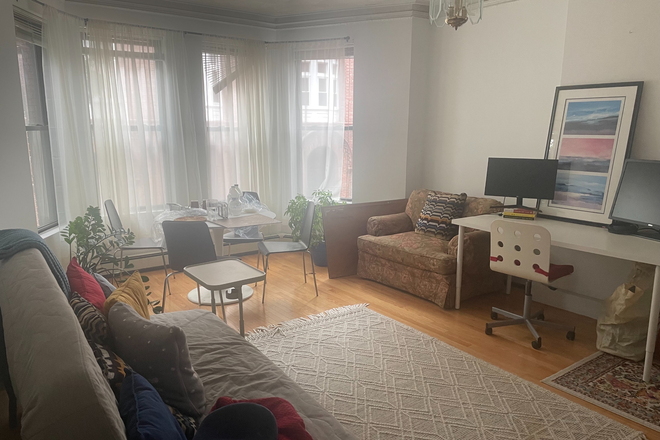 Living Room 1 - Bedroom in 4B1B Apartment in Brookline Village (Bus 60/65/66 & Green D line, walkable to Longwood)