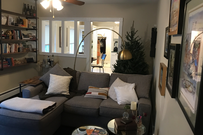 Living Room - 1BR apt-36 Humbert St-Princeton