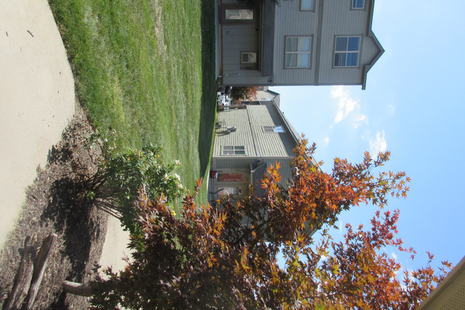 Backyard of cottage - Brexx at Blacksburg, 2 bedrooms available in 4 bedroom cottage Apartments