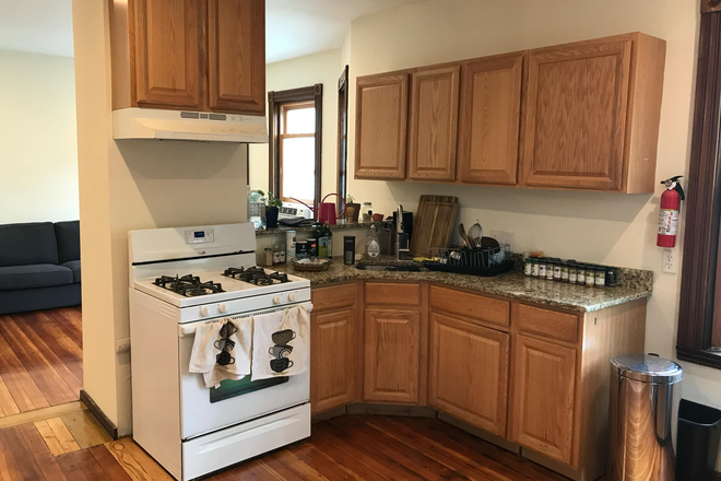 kitchen - Spacious and cozy 2b/1b, walkable/bikeable to MIT (with a cat!)