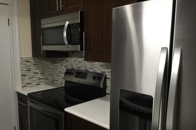 Updated kitchen with stainless steal appliances. Full size fridge/ freezer. Built-in microwave. Dishwasher. Stove and range. - Cheap Studio in Prime Location!! Condo
