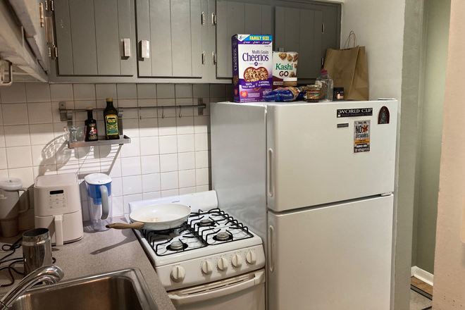 Kitchen - Lincoln Park Studio Furnished-walk to everything-Strict NON smoking policy Condo