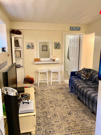 living room - Cozy garden level Brookline 1 bed - NO FEE! Apartments