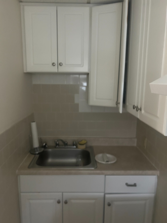Kitchen - Fabulous quiet building near campus