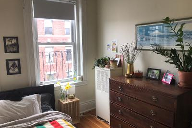 hubrealtyproperties.com - Front facing one bedroom split, great location Apartments