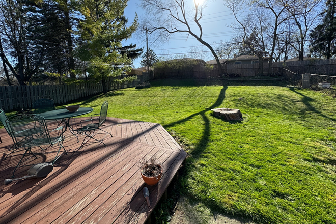 Backyard - 3BR House, Quick bus and walk to campus