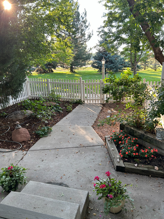 Front Patio/Yard facing open space - Townhome in coveted Indian Peaks Neighborhood