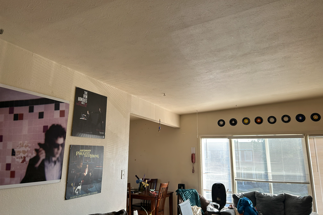 Living room - 1 Bedroom in Duplex near King Soopers, SKIP bus ride away from CU Main Campus Duplex