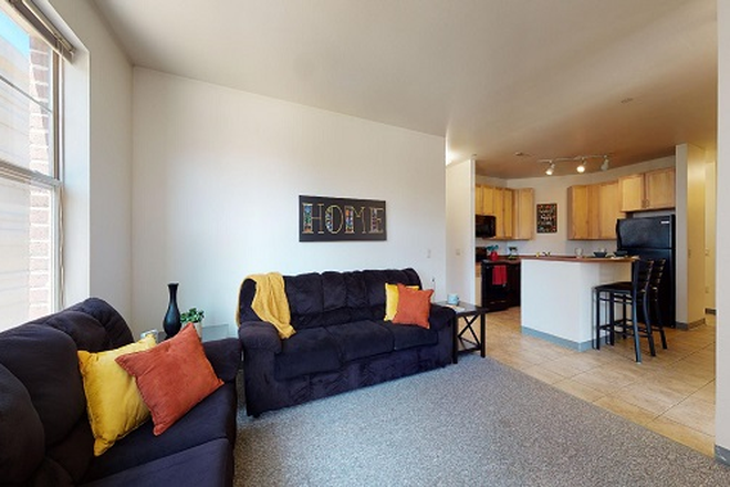 Living Room - The Telluride Apartments