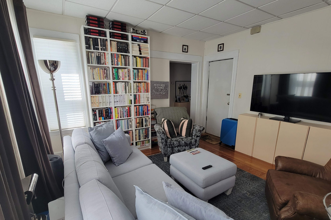 Living Room - 2 Bed with in-unit W/D! Near Davis & Porter Squares. No Fee! Apartments