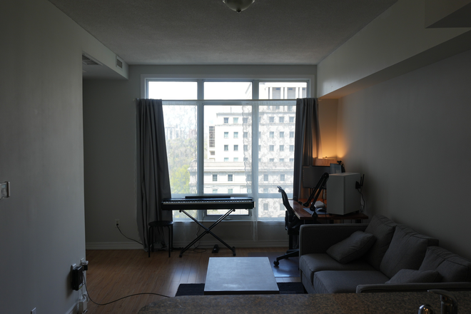 Living Room - 1-Bedroom Condo in Bloor-Yorkville with Laundry and Utilities Included