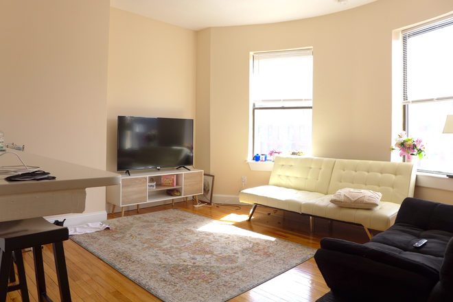 bostonrealtyonline.com - Sunny South End Three Bedroom with A/C steps from BMC Apartments