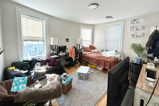 living room - Newly Renovated 5 Bedroom in Roxbury
