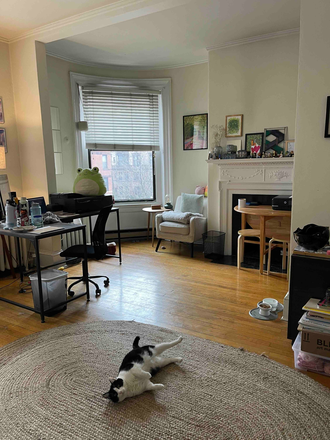 a - Close to Newbury Street, Kenmore Square and Mass Ave Bridge... Apartments
