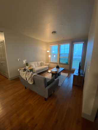 Living room - 21 Fitzsimmons