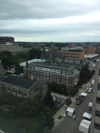 View from family room - Tower Plaza , central campus , furnished, large corner unit, 1bd 1ba, view of campus Condo