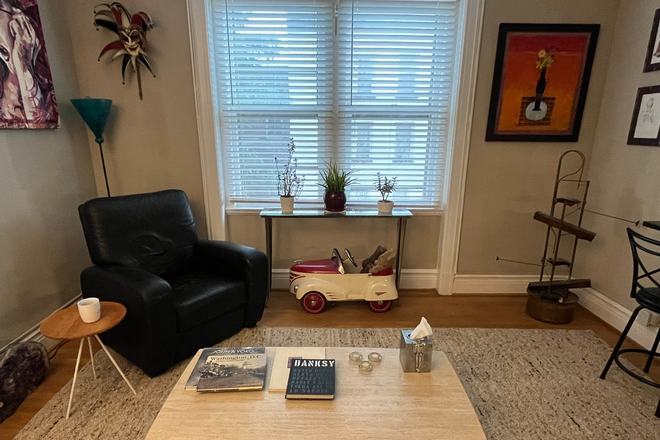 Living Room south facing windows - Large Furnished 1 Bedroom 1 Bath in Dupont Condo