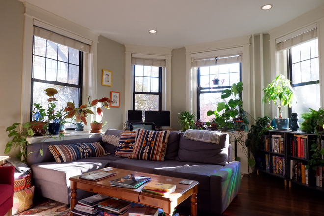 Living Room - Sublet near Longwood campus Condo