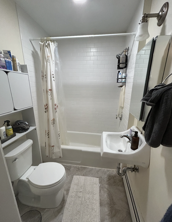Bathroom - Cozy 1 Bedroom Spring Sublet/Lease Xfer
