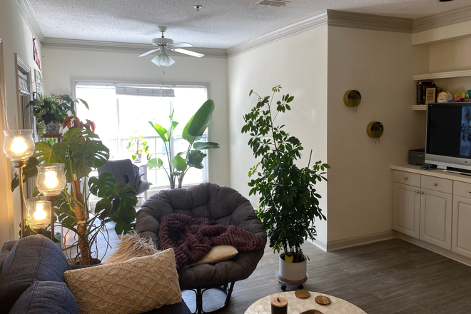 Living Area - 618 Highland Lake Circle Apartments