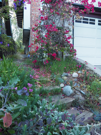 street view - Junior One Bedroom in Rockridge House