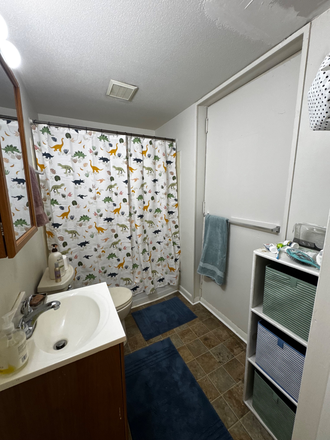 Bathroom - Amity St Apartment 1 Bedroom