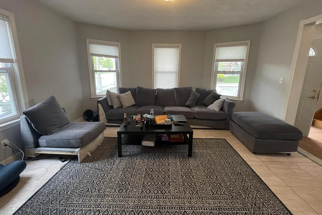 primary living room - Spacious house walking distance to campus! With chill roommates + beautiful cat