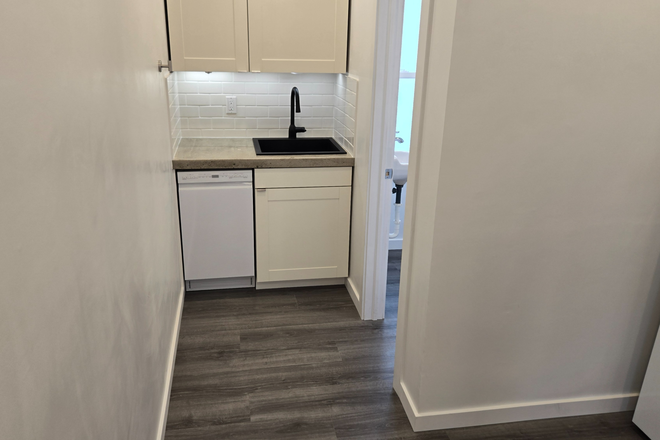 View looking down from kitchen towards sink/dishwasher - 1-Bedroom just west of campus, newly remodeled