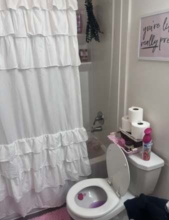 Bathroom - Capitol Villa Apartments, close to East campus.