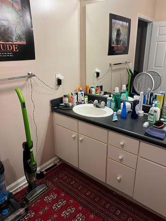 Double Sink - The Reserve at Clemson; Private bedroom in 4 bedroom, 2 bath apartment; Guys only