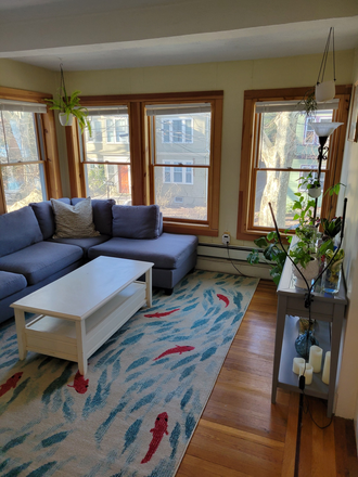 Living Room - Brookline, Coolidge Cnr, Room in a shared house, $1200 incl.utils, walking distance to BU