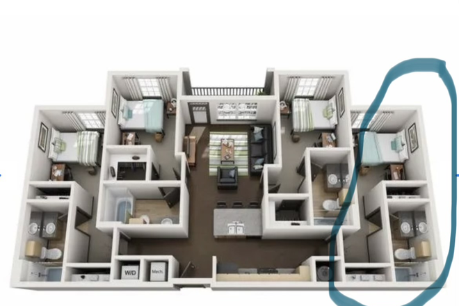 Overview of loft - Summer Sublease – Private Bed/Bath at 4050 Lofts Near USF