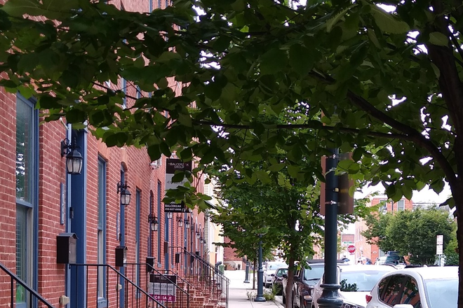 Neighborhood - One furnished bedroom with wifi and utilities included  at Johns Hopkins Hospital Townhome