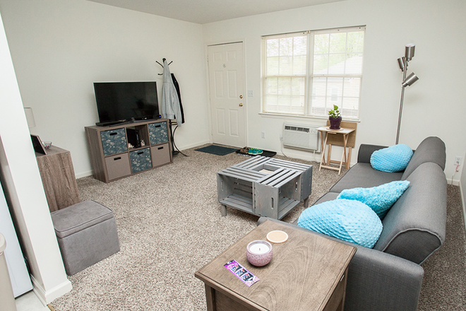 Living room - Dogwood Commons-Large 1 BR Apts, Great Location, Available August 25th.  AC, all appliances