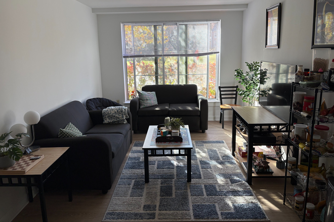 Living Room - South Commons 7 Apartments