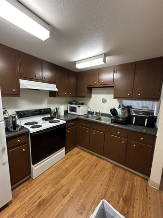 Kitchen - University Housing Newton Court, fully Furnished, 5 mins Walk to Campus