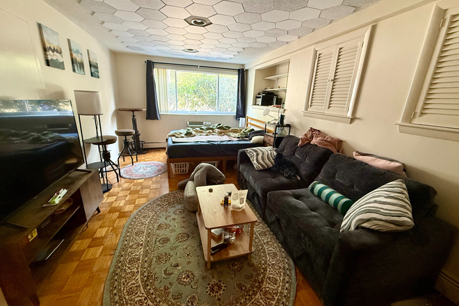 living area - Sunny Brookline studio with parking included for 9/1