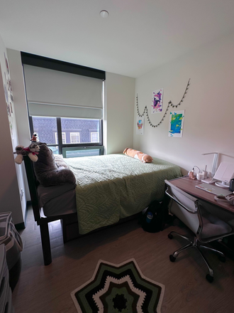 Photo of the bedroom. All decorations will be removed, but furniture (desk, closet, bed, etc.) will remain. - Lightview Summer 1+2 Sublet Just Off-Campus!
